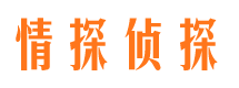 团风市侦探公司